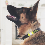Firefighter Personalized BLACK Dog Collar